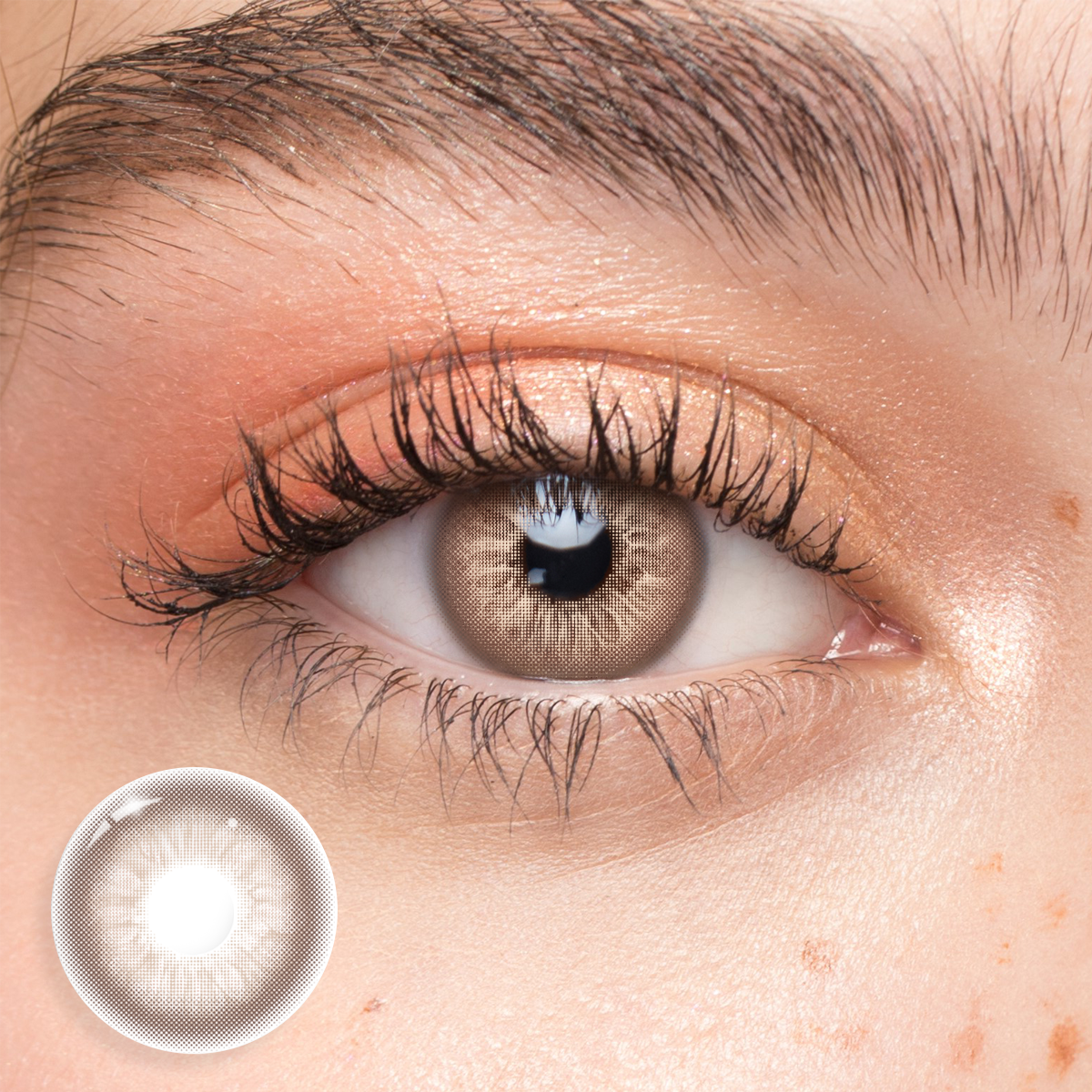 Whisper Brown - Yearly, 2 lenses