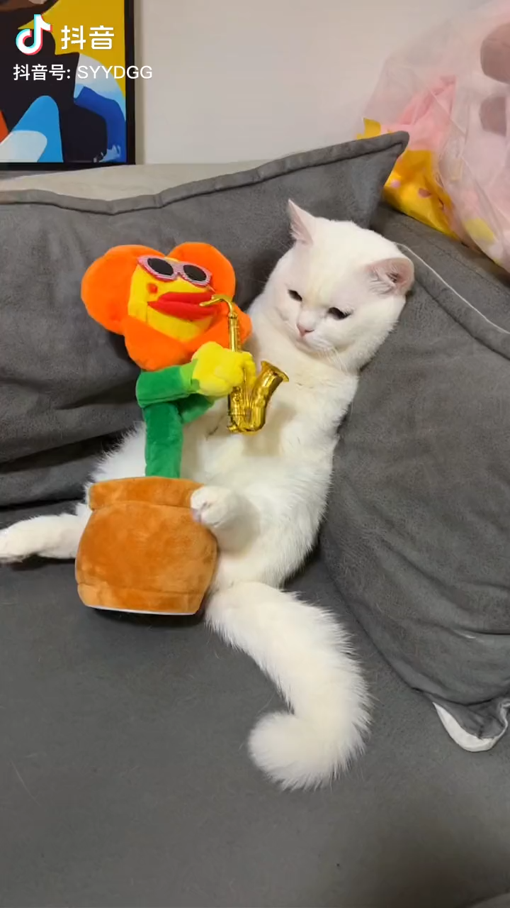   🤪 @&*……¥##！@@）（：「！」』《》？！L｜竞争力～江河湖海 1239013aioAQIEIRf🌹在哪呢🌲...