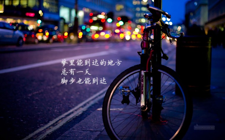 3个youtobe+7个本地视频+492个图片